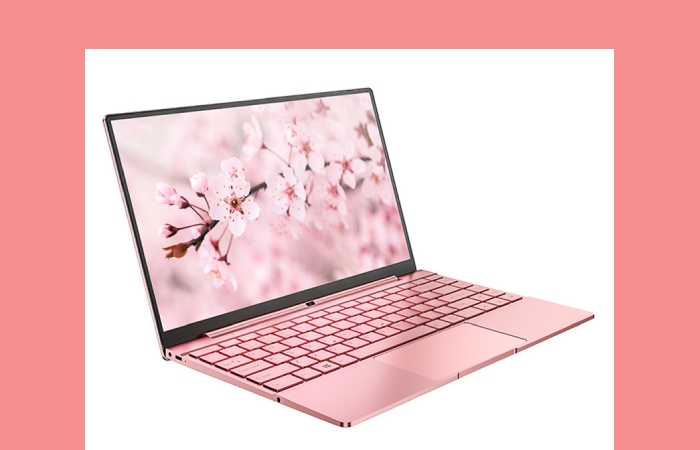 AIWO Ordinator Portable Rose Gold 13.9 Inch 3K 3000_2000 IPS Screen 1080P Camera J4125 Core I5 __10210U Business Notebook Computer Mini Laptops