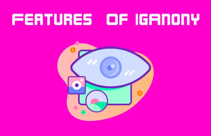 Features  Of IgAnony