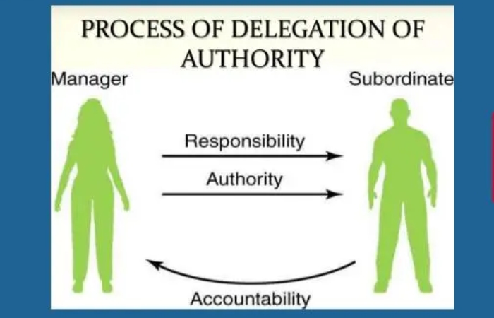 About Delegation Of Authority