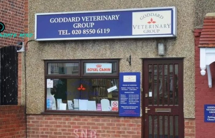About Goddard Veterinary Group Chalfont St Peter Lower Road Chalfont Saint Peter Gerrards Cross