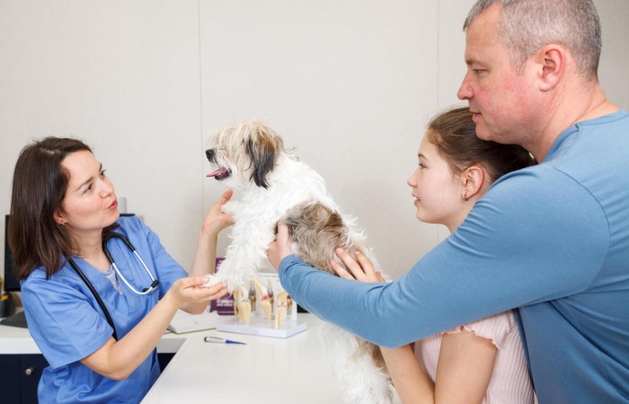 Puppy Socialization
