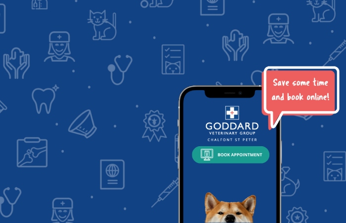 Where to find Goddard Veterinary Group Chalfont St Peter Lower Road Chalfont Saint Peter Gerrards Cross_