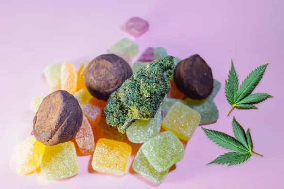 Understanding HHC Edibles and Choosing the Best Option