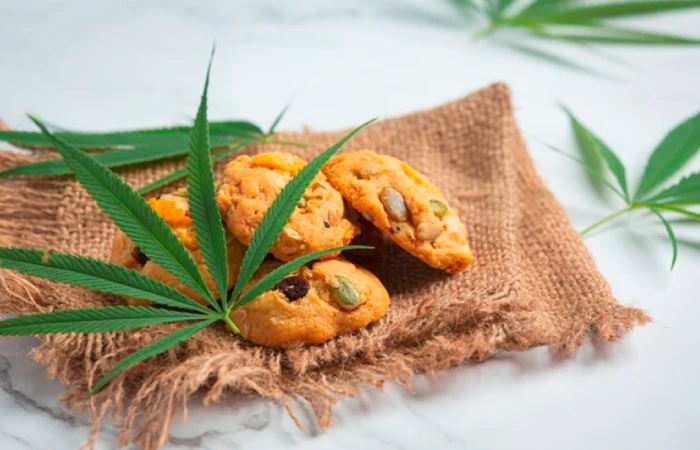 Understanding HHC Edibles