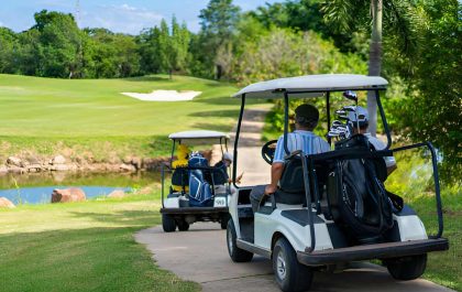 Golf Carts For Sale Near Me Martin